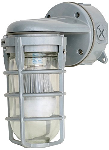 Woods L1707SVCH Traditional 100W Incandescent Weather Industrial Light, Wall Mount, Chrome
