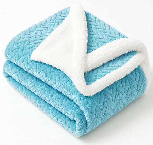 Image of VAS COLLECTIONS Ultra Soft Baby Blanket | Flannel + Sherpa | 2-Layer All-Season AC Sheet for Newborns (0-24 M) - Sky Blue