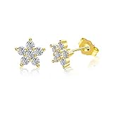 Sterling Silver Star Earrings for Women | Cubic Zirconia Flower Stud Earrings | 14K Gold Plating...