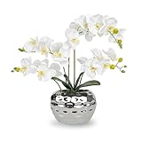PlusFive Orchidées artificielles en Pot   Fleurs artificielles Blanches Phalaenopsis en Soie, 48cm orchidées artificielles comme Vraies Fleurs Artificielle pour décoration de Table, de Fenêtre