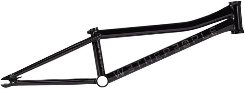 Wethepeople Utopia Black 19