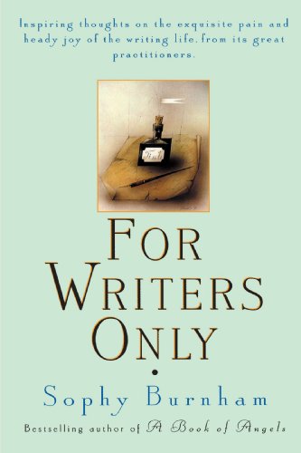 For Writers Only view 2