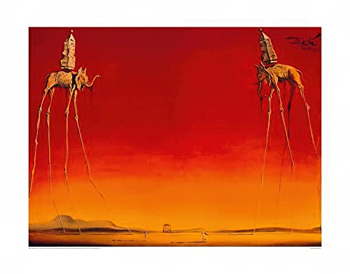 Close Up Salvador Dali KUNSTDRUCK, Poster, Affiche (80cm x 60cm)