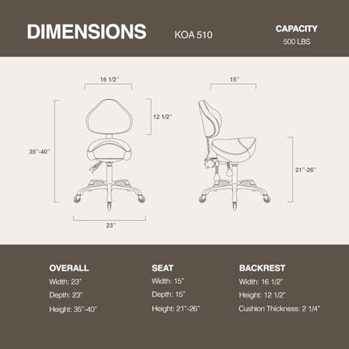 DR.LOMILOMI Pneumatic Swivel Rolling Saddle Stool with Wheels and Back Support for Hair Stylist, Hygienic Clinic Spa Massage, Home, Office - 510 KOA (Black, Standard)