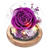 Casaido Preserved Roses Flowers for Delivery, Mothers Day Rose Gifts for Her, Purple Forever Flores in Glass Dome for Women Mom Wife Girlfriend, Anniversary Birthday Gift for Vanlentines Day Christmas
