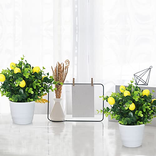 Semononia Fake Lemon Plants With Pots - 2 Pcs Artificial Eucalyptus Plants Small Faux Plants Summer Centerpieces Decoration For Home Kitchen Dining Room Office Bathroom Table Decor #TOP1