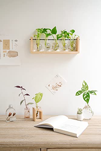 Mkono Five Bulb Glass Plant Propagation Station #TOP30