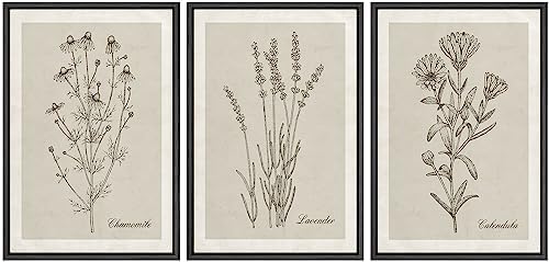 NWT Framed Canvas Print Wall Art Set Retro Vintage Antique Garden Wildflowers Nature Wilderness Illustrations Modern Art Decorative Minimalist Floral Botanical Flowers for Bedroom - 24"x36"x3 Black