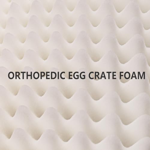 Patas Lague Orthopedic Dog Bed Large Sized Dog 36''X24'', Waterproof Soft Comfortable Egg Crate Foam Large Pet Beds Crate Mat with Removable Washable Cover and Nonskid Bottom, Black by Patas Lague - Image 7