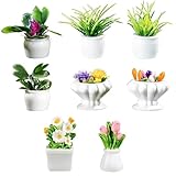 GHPKOTW 8 Stück Miniatur-Topfpflanze Set,Mehrfarbige Künstliche Mikro-Bonsai Und Sukkulenten,Für Puppenhaus Deko,Zen Garten,Modellbau,Terrarium Und Tischdekoration