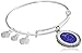 Alex and Ani Capricorn Constellation Expandable Shiny Silver Bangle Bracelet