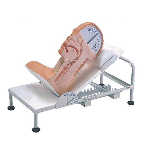 Modelo de enseñanza, modelo de enseñanza de maniquí, modelo avanzado de mecanismo de deglución para exhibición de colección de práctica médica, método de tratamiento de emergencia para pacientes con