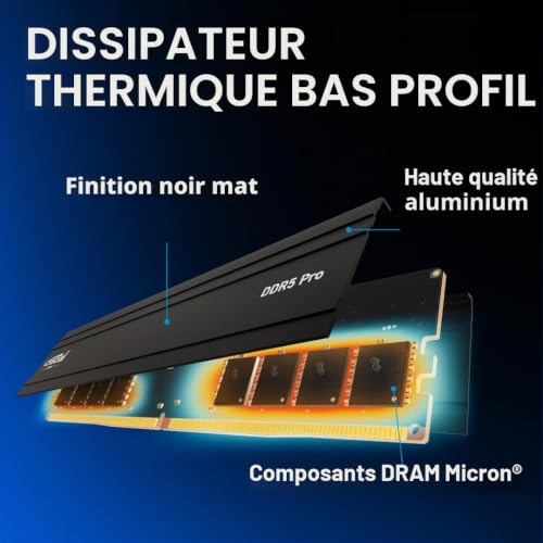 Crucial Module Pro 48 Go DDR5 5600 MHz, CL46, CP48G56C46U5