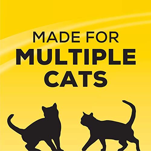 Purina Tidy Cats Clumping Cat Litter, 24/7 Performance Multi Cat Litter - 40 Pound (Pack of 1)