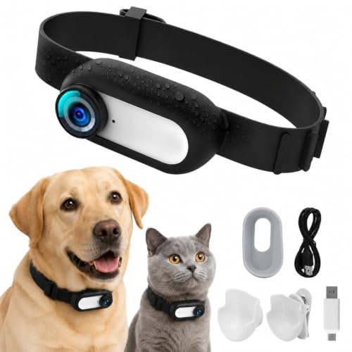 Caméra à Collier pour Chat, Caméra à Collier pour Animaux de Compagnie Grand Angle 1080P 170 °, Collier de Caméra pour Animaux de Compagnie Réglable...