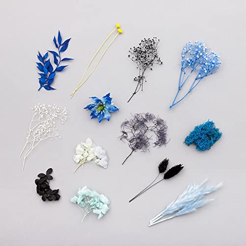 Amazon.co.jp: [完全受注生産限定] ツイステッドワンダーランド UUL