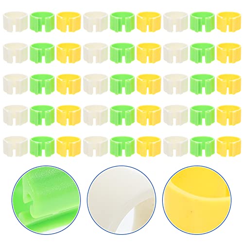 POPETPOP 300pcs Bandas de pombo de pombo de 300pc