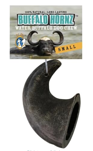 QT Dog Small Water Buffalo Horn - Long-Lasting 100% All-Natural Dog Chew Ethically Sourced Protein-Packed & Low Fat Dental Chews
