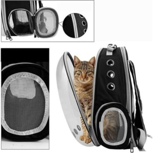 Mochila De Transporte Para Pets Cachorros E Gatos Com Ventilação Transparente E Visão Panorâmica Bol