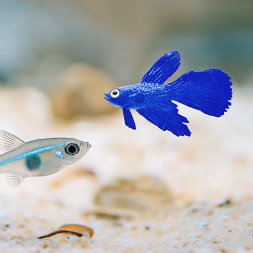 Image of 2 Pack Aquarium Floating Swimming Betta Fish Decor, Vivid Artificial Fish Tank Glowing Fish Ornament, Lifelike Funny Aquarium Fish Scenery for Betta Fish Lovers Small to Large Tank (Betta)