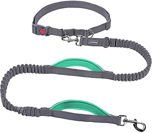 VIVAGLORY Hands Free Dog Lead with Double Upgraded Anti-Shock Bungees and Padded Handles, Reflective Waist Running Lead with Adjustable Belt for Training Jogging for Medium Large Dogs