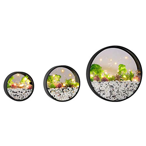 Vevlu Modern Round Glass Wall Planter, 3 Pack Set Wall Planters With Led Light String, Circle Iron Succulent Planter For Herb,Small Cactus Perfect For Balcony, Room And Patio Decor (Black) #TOP1