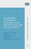 Learning, Capability Building and Innovation for Development (EADI Global Development Series)