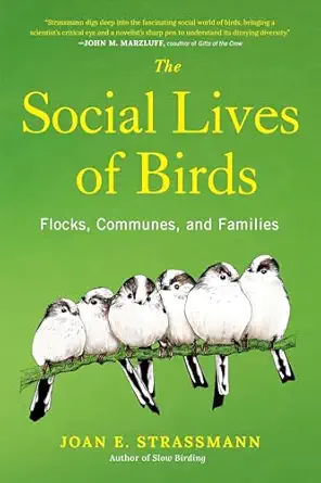The Social Lives of Birds: Flocks, Communes, and Families book cover