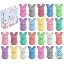 24pcs