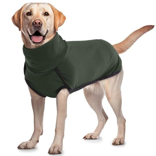 Pet Travel Coats For Dogs