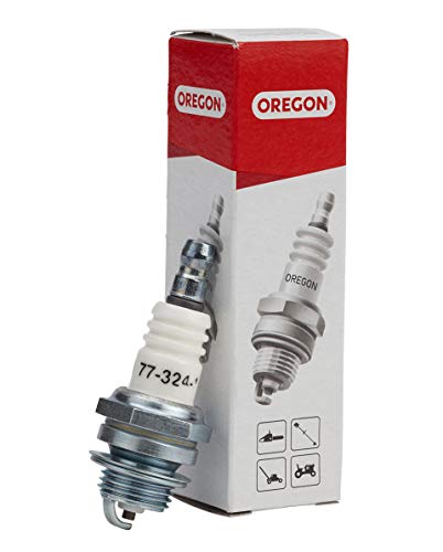 Foto von Oregon Zündkerze