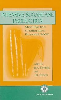 Intensive Sugarcane Production [OP]: Meeting the challenges beyond 2000