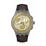GOLDEN RADIANCE SUSM100