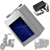 TGHY Motorcycle Battery 60V Electric Bike Battery 42Ah 50Ah 60Ah 80Ah 90Ah 100Ah 120Ah Lithium ion Battery for 100-5000W Moped Tricycle Motor Kit,60v60ah