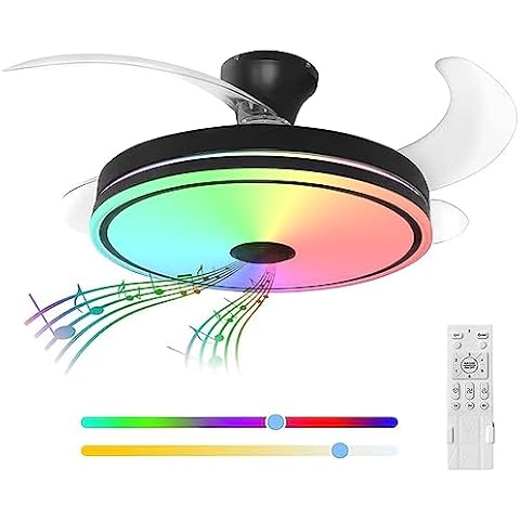 LIJIZAMI Enclosed Ceiling Fan with Light, Low Profile Ceiling Fan Light with Speaker, App Control for Dimming & RGB Color Change (Black 42in) Cover