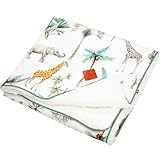 Découvrez notre collection Safari !