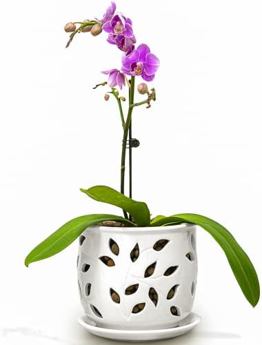 VEBAVO Orchid Pot Ceramic 5.25 inch, Healthy Air Circulation and Drainage Orchid Pots with Holes, Easy Plant Repotting Orchid Planter for Plants Lovers, Indoor/Outdoor Orchid Pots for Repotting