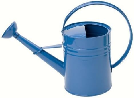 Houston International 8582E B 1-Gallon Steel Watering Can, Blue