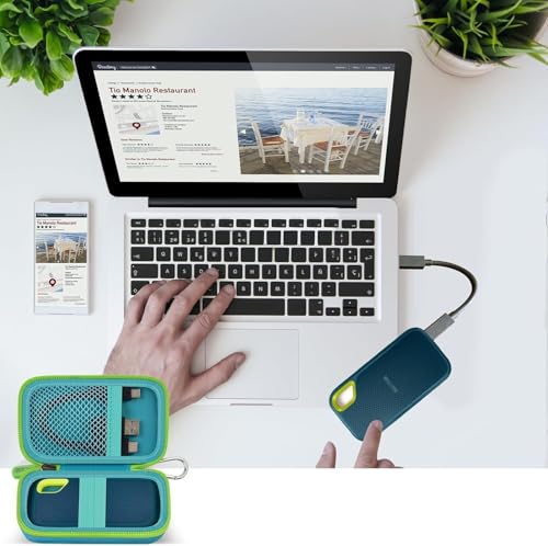 Tasche für SanDisk Extreme Portable SSD Portable SSD 480GB 500GB 1TB 2TB 4TB 8TB, Externe Festplatte Hart Tragen Etui Case (Nur Aufbewahrungskiste) -Grün