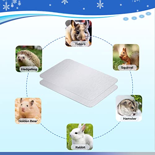 Image of Rabbit Cooling Pad, 11.8x7.9 IN Hamster Cooling Mat Pet Cool Plate for Rabbit Bunny Hamster Guinea Pig & Other Small Pets Stay Cool This Summer - Bite Resistance Pet Cooling Pad Ice Bed (2PCS)