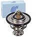 Produktbild Blue Print ADC49204 Thermostat mit Dichtring, 1 Stück