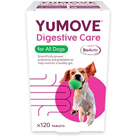 Lintbells YuMOVE Digestive Care for All Dogs | Previously YuDIGEST | Probiotics for Dogs with Sensitive Digestion, All Ages and Breeds | 120 Tablets | Packaging may vary Cover
