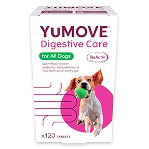 Lintbells YuMOVE Digestive Care for All Dogs | Previously YuDIGEST | Probiotics for Dogs with Sensitive Digestion, All…