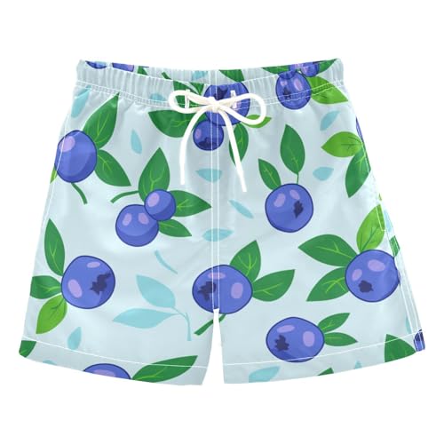 Blueberry Maillot de bain court pour garçon et adolescent Doublure de compression légère 2T, blueberry, 2 Ans