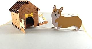 iGifts And Cards Mama Corgis N Puppies 3D Pop Up Greeting Card - Cute, Canine, Pet, Dog, Doggies, Half-Fold, Happy Birthday, Just Because, Thinking of You, Baby Shower, Friendship, Fun