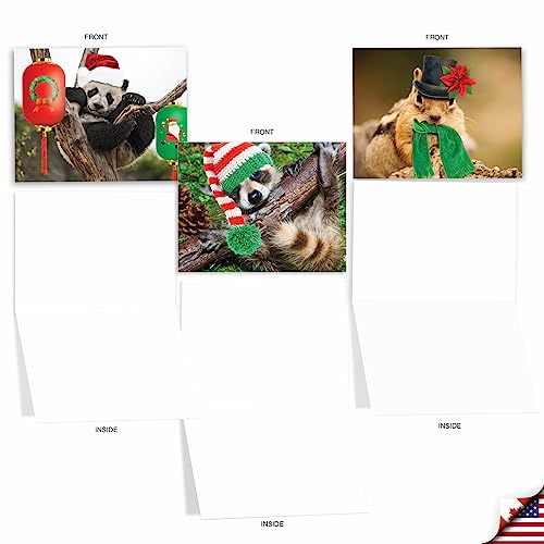 Image of The Best Card Company - 10 Blank Animal Christmas Note Cards - Assorted Bulk Holiday Cards for Men and Women, Fun Wildlife (4 x 5.12 Inch) - Santa Capped Creatures M6470XSB