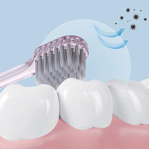 Exceart Crystal Collection Toothbrush Full Head Manual Toothbrush Manual Toothbrush For Cleaning Tooth 6Pcs #TOP5