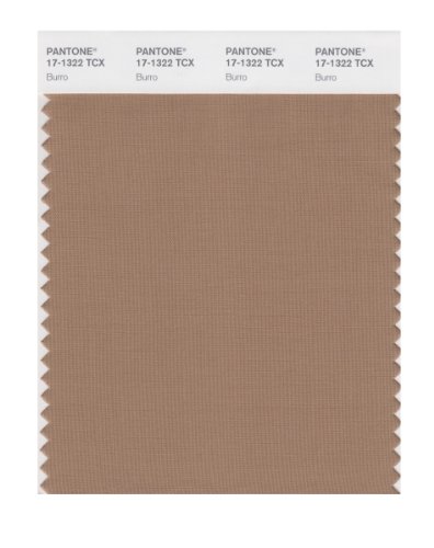 PANTONE Smart 17-1322X Color Swatch Card, Burro
