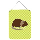 Caroline's Treasures Coypu Nutria Impression métallique Vert rivière 16 x 12 W Multicolore