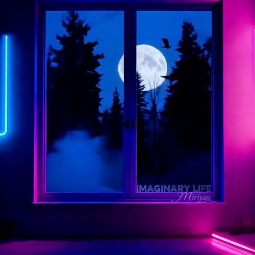 Image of Imaginary Life